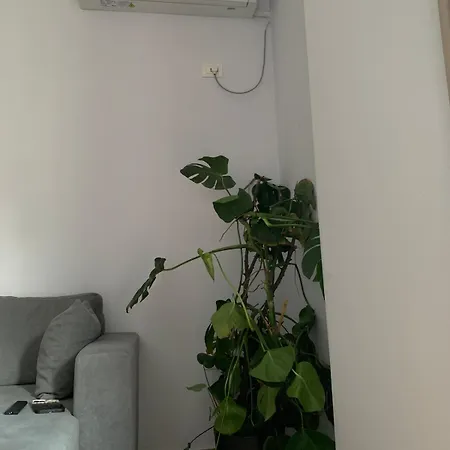 Ferit'S Property Near Myslym Shyri Apartment