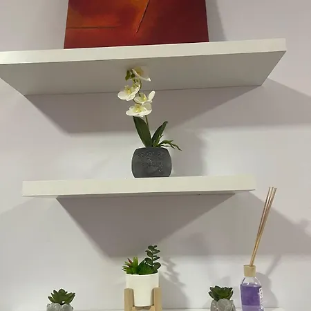 Ferit'S Property Near Myslym Shyri Tirana