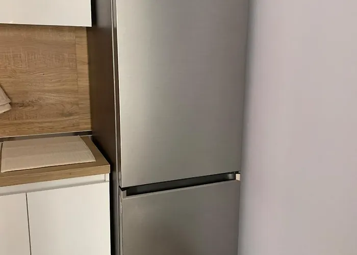 Ferit's Near Myslym Shyri 地拉那