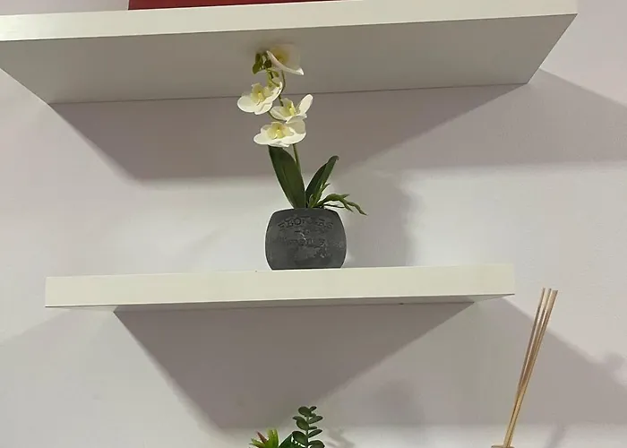 Ferit's Near Myslym Shyri 地拉那