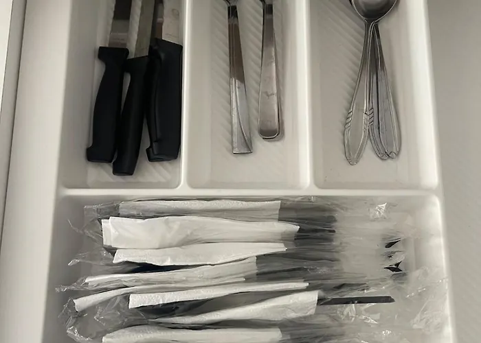 Ferit's Near Myslym Shyri 公寓 地拉那