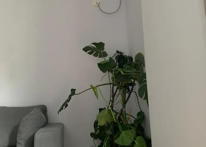 Ferit's Near Myslym Shyri 公寓