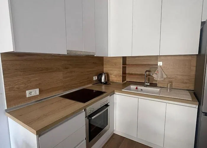 Ferit's Near Myslym Shyri 公寓