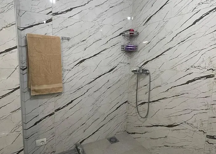 公寓 Ferit's Near Myslym Shyri