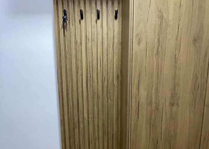 公寓 Ferit's Near Myslym Shyri